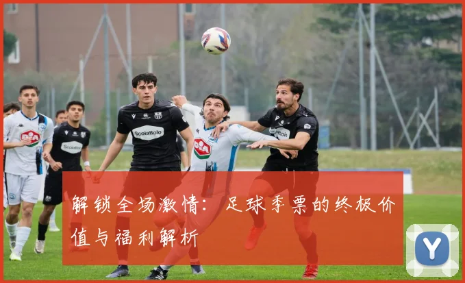 解锁全场激情：足球季票的终极价值与福利解析
