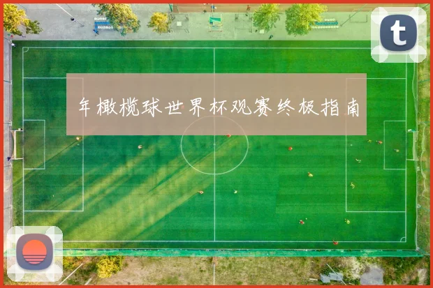 年橄榄球世界杯观赛终极指南
