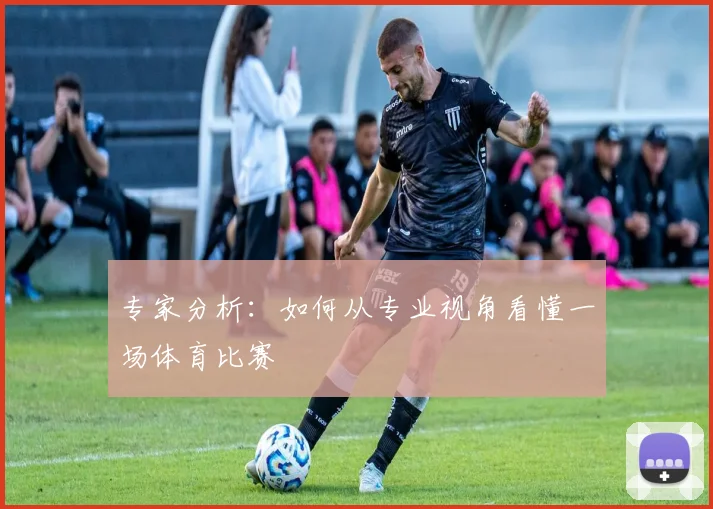专家分析：如何从专业视角看懂一场体育比赛