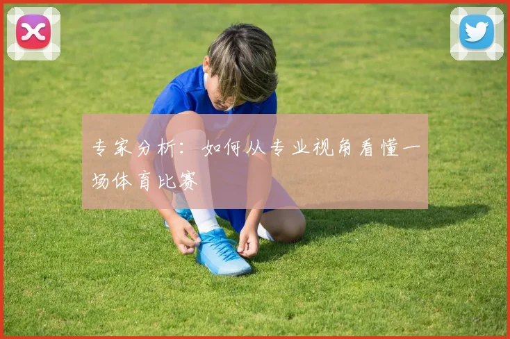 专家分析：如何从专业视角看懂一场体育比赛